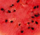 Fruta - Sandía